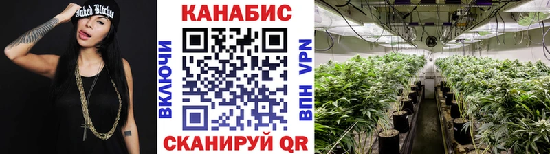 Канабис планчик  Южно-Сухокумск 